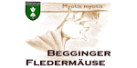 Fledermäuse Beggingen