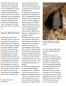 Preview: Beispielseite:  Fledermäuse - Das Praxisbuch