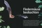 Preview: Beispielseite: Fledermäuse beobachten, erkennen und schützen