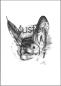 Preview: Künstlerische Postkarten Bechsteinfledermaus