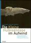 Preview: Titelbild: Die Kleine Hufeisennase im Aufwind