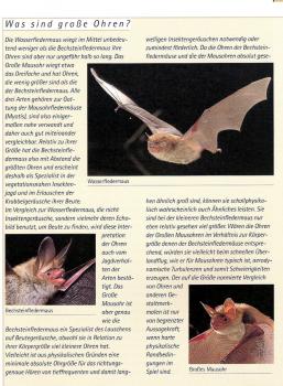 Beispielseite:  Fledermäuse - Das Praxisbuch