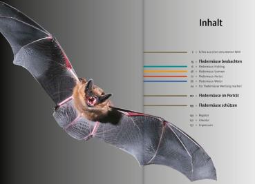 Inhaltsverzeichnis: Fledermäuse beobachten, erkennen und schützen