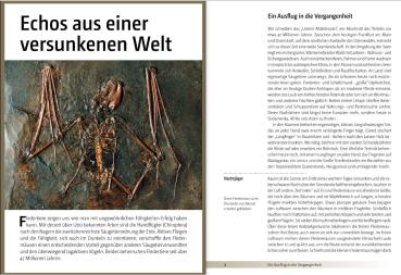 Beispielseite: Fledermäuse beobachten, erkennen und schützen