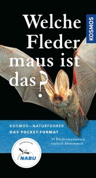 Titelbild: Welche Fledermaus ist das?