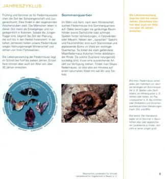 Beispielseite: Fledermäuse - Lebensweise, Arten und Schutz