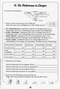 Beispielseite: Lernwerkstatt Fledermäuse