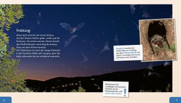 Beispielseite: Meine Große Tierbibliothek: Die Fledermaus