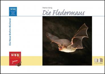 Titelbild: Die Fledermaus