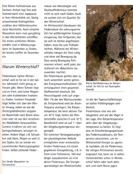 Beispielseite:  Fledermäuse - Das Praxisbuch