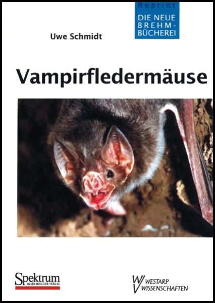 Titelbild: Vampirfledermäuse