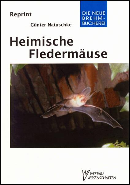 Titelbild: Heimische Fledermäuse