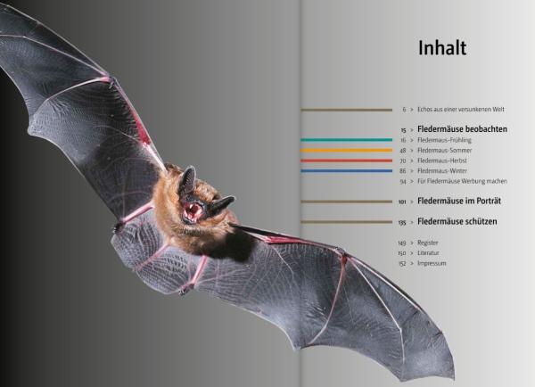 Inhaltsverzeichnis: Fledermäuse beobachten, erkennen und schützen
