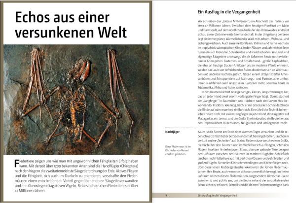 Beispielseite: Fledermäuse beobachten, erkennen und schützen
