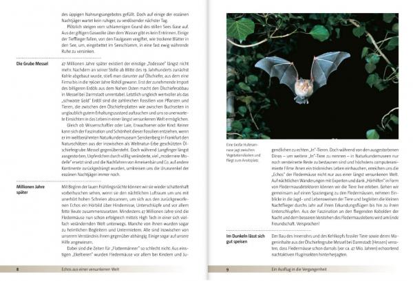 Beispielseite: Fledermäuse beobachten, erkennen und schützen