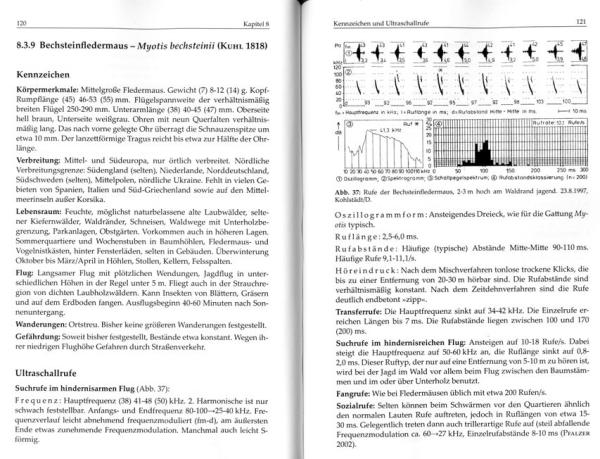 Beispielseite: Europäische Fledermäuse