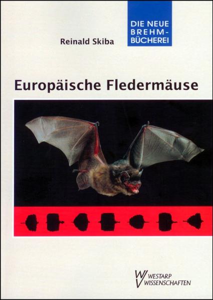 Titelbild: Europäische Fledermäuse