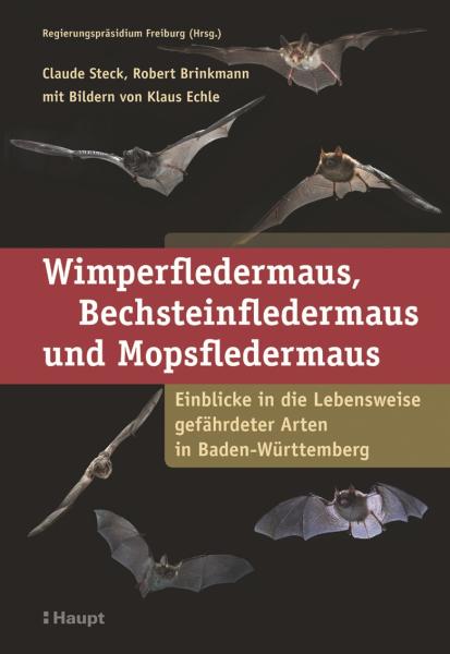 Titelbild: Wimperfledermaus, Bechsteinfledermaus und Mopsfledermaus