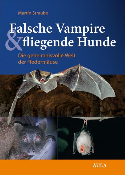 Titelbild: Falsche Vampire & fliegende Hunde