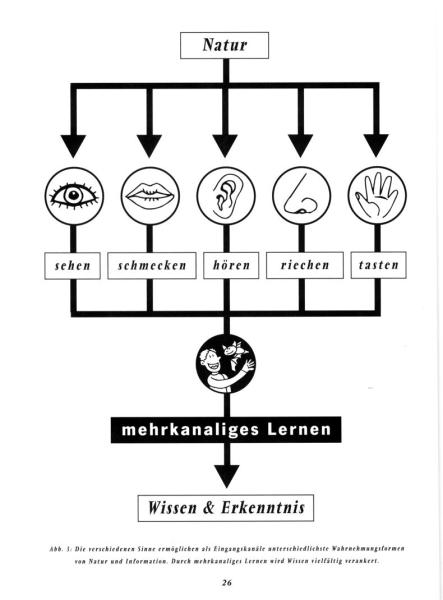 Beispielseite: Von Fledermäusen und Menschen