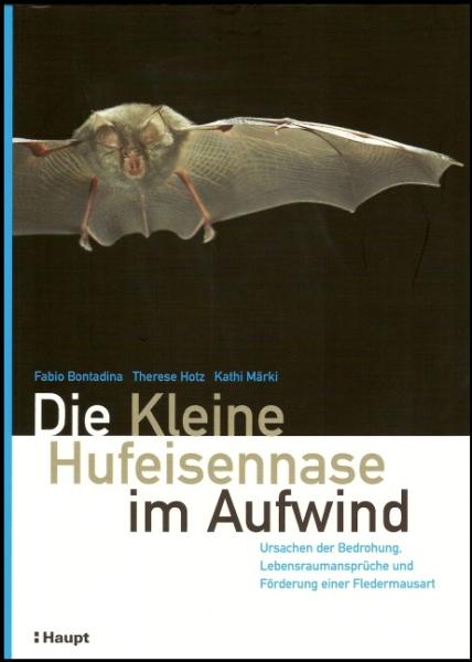 Titelbild: Die Kleine Hufeisennase im Aufwind