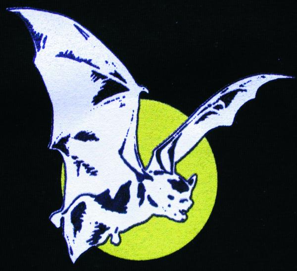 Motiv: T-Shirt "Fledermaus mit Mond"