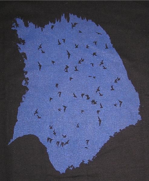 Motiv: Fledermaus T-Shirt "Nachtflug"