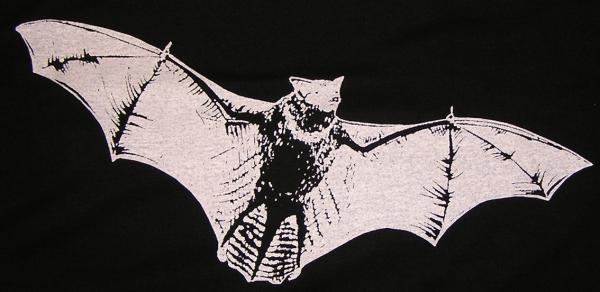 Motiv: Fledermaus T-Shirt "Flughund"